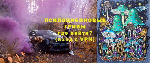 спиды Алзамай