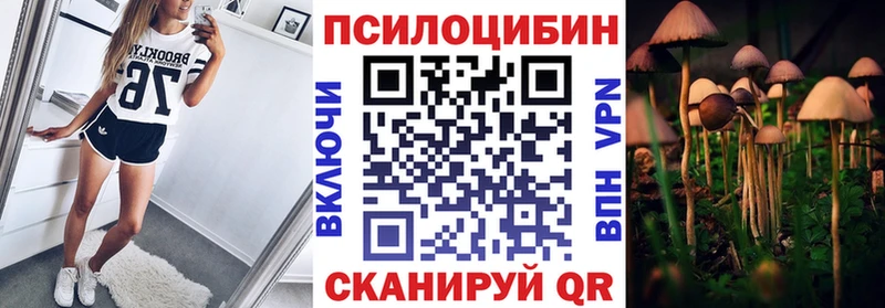 Псилоцибиновые грибы Psilocybe Берёзовский