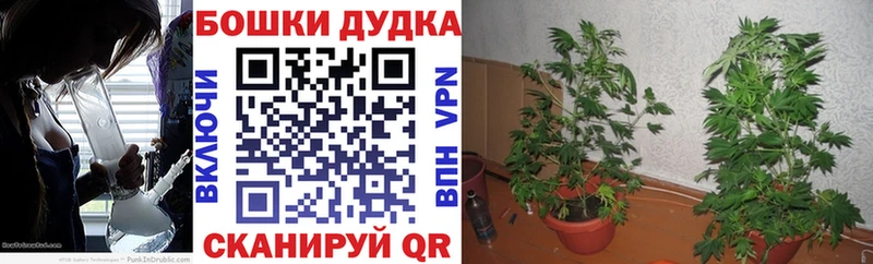 Канабис AK-47  как найти наркотики  Берёзовский 
